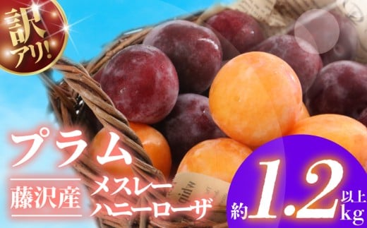 y_ސ쌧szys\z v  1.2kg ȏ 2026N6{ Jn X[ nj[[U lߍ킹 󂠂 A 킯 L  ʕ t[c  fU[g