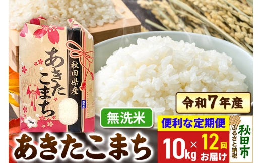 yHcHcszs12t ܂ 10kg(5kg×2)  ߘa7NY yāzHcY