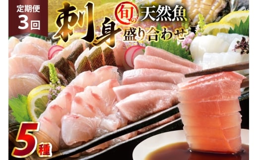 y茧ˎszhg 荇킹 {̓VR̎hg 5 2`3lO 3  v6`9lO Zbg Hה lߍ킹 [͘FGrX 茧 ˎs hr42bgy390045]  I }_