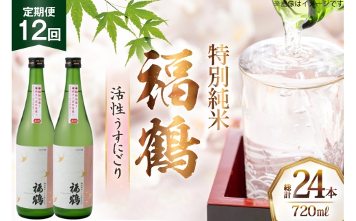 y茧ˎsz {  ʏ ɂ 720ml v2{ 12  [c 茧 ˎs hr42bgy410120]  Y_ Rc ɂ