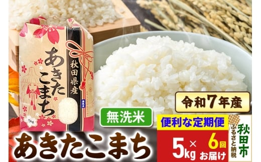 yHcHcszs6t ܂ 5kg ߘa7NY yāzHcY