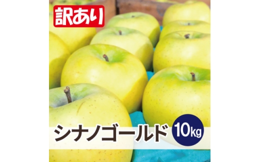 【青森県大鰐町】平均糖度13度以上! シナノゴールド 約10kg 訳あり【1667957】