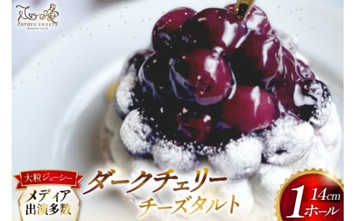 y茧ˎszP[L ^g ґ _[N`F[ ^g 1z[ 14cm [SD-Cotoyu Sweets- 茧 ˎs hr42bgy420097] AJ `F[ TN{  t[c ʕ Ղ X