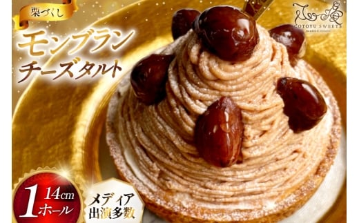 y茧ˎszu P[L u^g 1z[ 14cm [SD-Cotoyu Sweets- 茧 ˎs hr42bgy420008] I  } ^g a َq XC[c J 