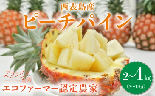 yꌧ|xzyeʂIׂzAK}_˂̃s[`pCB荂lCNO.1Iʗ1Åns[`pC@s[`pC2?4kgi2`10ʁj