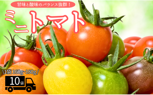 yQɗ\sz~jg}g 160g?180g×10 J[g}g y2025N12{珇\z Hׂ _ n Q lC ɗ\sbB81