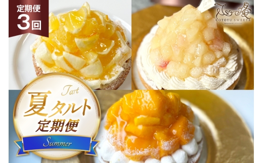 y茧ˎszt[c ^g ă^g 3 č  }S[ Hה e 1z[ 14cm 3  v3z[ [SD-Cotoyu Sweets- 茧 ˎs hr42bgy420459] gsJ ʕ P[L 