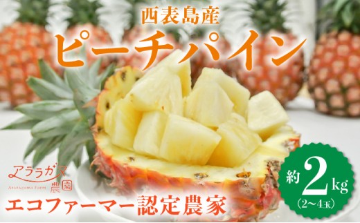 yꌧ|xzAK}_˂̃s[`pCB荂lCNO.1Iʗ1Åns[`pC@s[`pC2kgi2`4ʁj