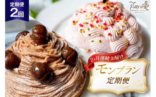 y茧ˎsz I u  1z[ 14cm 2  v2z[ [SD-Cotoyu Sweets- 茧 ˎs hr42bgy420466]  C`S  } ^g P[L XC[c J a