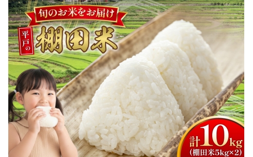 y茧ˎsz ߘa7N Ic 10kg [ЂǐVNs 茧 ˎs hr42bgy400202] ߘa7NY R  ͂  Ђ Ђ̂Ђ ɂ܂ Ȃق̂