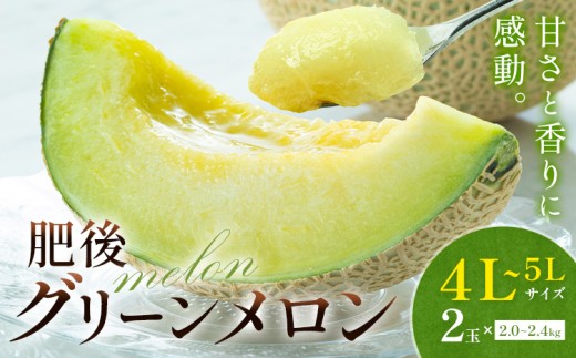 メロン 肥後グリーンメロン 特大 4L ～ 5L サイズ 2玉 約2～2.4kg×2