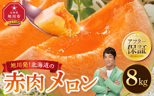 訳あり北海道富良野メロン赤肉 6～7玉（8kg〜)有機肥料 農家直送 （38