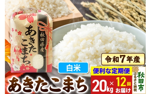 定期便12ヶ月》 あきたこまち 20kg(5kg×4袋) 令和7年産 【白米】秋田県