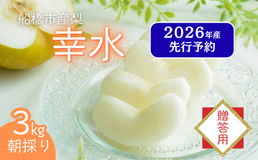 【千葉県船橋市】【2026年産先行予約】<贈答用> 果汁たっぷりの極上梨「幸水・3kg」6〜9玉 千葉県 船橋市産 エコチョク
