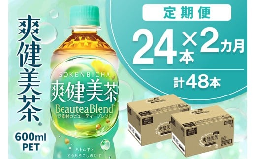 yꌧRzy2Jցzu 600mlPET×24{(v2P[X)yRJR[ JtFC[  ΂   ngM   唞 hN_~  ybg{g 