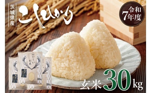 y錧szyʌzR7NY VăRVqJ 30kg|  Ђ RVqJ V  錧 siBQ002j
