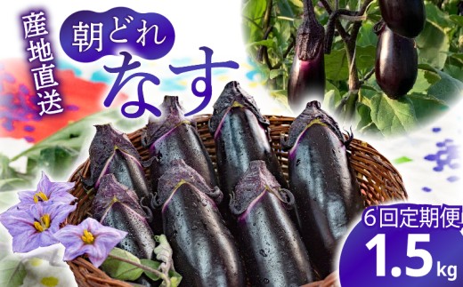 ym|szy6ցẑiX 1.5kg ֎q iX Y m _ƒ  xW^u VN Ȃ  ĂiX e N ǂ Ă AEghA BBQ aH mH   