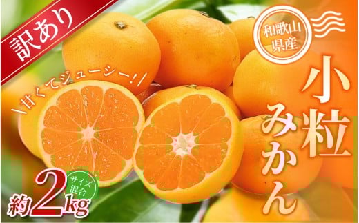 【和歌山県かつらぎ町】【訳あり】 森本農園の手選別 小粒みかん 約2kg 和歌山県産 【北海道・沖縄・離島配送不可】【2025年11月上旬〜2026年2月中旬ごろに順次発送】【BV-mrmt065】