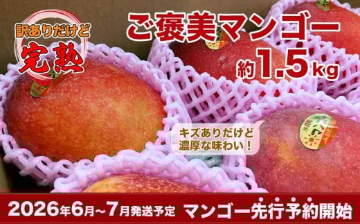 yꌧszy2026NEs\z󂠂sόC`IJAbv}S[@1.5kg