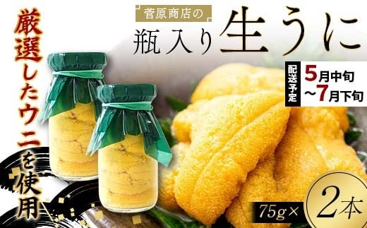 y茧Rczy2026Ns\zX̐75g 2{yߘa8N5{`7{z\zyzwszyEzsz ORc Rc r CYi Y ~E