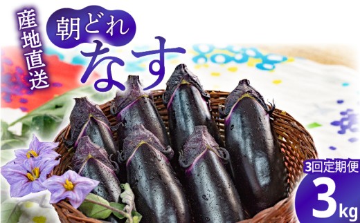 ym|szy3ցẑiX 3kg ֎q iX Y m _ƒ  xW^u VN Ȃ  ĂiX e N ǂ Ă AEghA BBQ aH mH   Ȃ