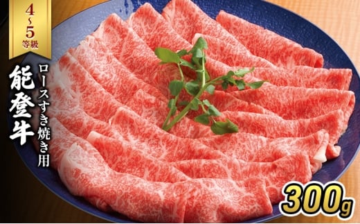 yΐ쌧Fsz[5984-0319]\oi4`5j[XĂp300g  