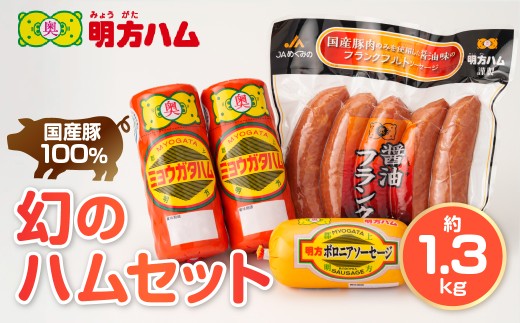 【岐阜県郡上市】明方ハムBセット 明方ハム2本とボロニアソーセージ・醤油フランク(5本入)×各1 / 食品 精肉 肉加工品 加工品 セット 詰め合わせ 15000円