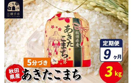 【秋田県横手市】《定期便9ヶ月》あきたこまち 3kg×1袋【5分づき】令和7年産 秋田県産 こまちライン