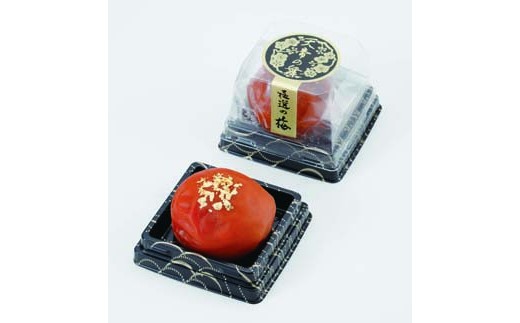 ya̎R쒬zɑI̔~ V̕ 110 mKn11n