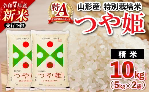 yR`R`szy1zߘa7NY V R`Y ʍ͔| P()10kg(5kg×2) FY25-346