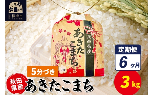 yHcszs6t܂ 3kg×1܁y5Âzߘa7NY HcY ܂C