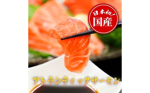 【静岡県小山町】1B6【日本初:完全陸上養殖】「 フジサクラサーモン 」【 生 ・冷蔵】800g