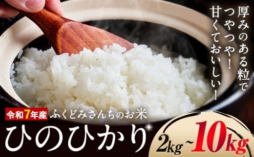 yF{Dzߘa7NY    ӂǂ݂񂿂̂ Ђ̂Ђ 2kg 4kg 6kg 8kg 10kg F{Y Ds30ȓɏoח\(yj)tF{ D R  F{ D D 