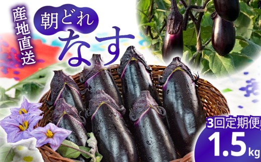 ym|szy3ցẑiX 1.5kg ֎q iX Y m _ƒ  xW^u VN Ȃ  ĂiX e N ǂ Ă AEghA BBQ aH mH   