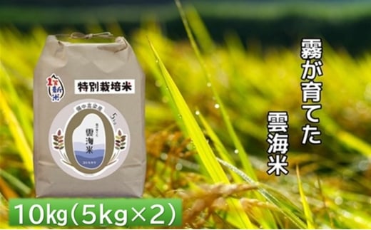 yRsz[5615-0795]Ă_C ʍ͔| 10kg (5kg×2) _C  RVqJ  R    Ђ R s