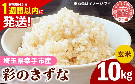 【農家直送】彩のきずな 埼玉県産　令和7年度産 　玄米 20㎏ 令和7年産【彩のきずな】玄米10kg 色彩選別済 Brown Rice - お米 米