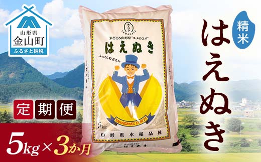 令和7年産《定期便》金山産米 はえぬき【精米】5kg×3ヶ月 計15kg 定期