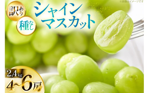 期間限定発送】 シャインマスカット 訳あり 4～6房 約 2.4kg [Yamagen