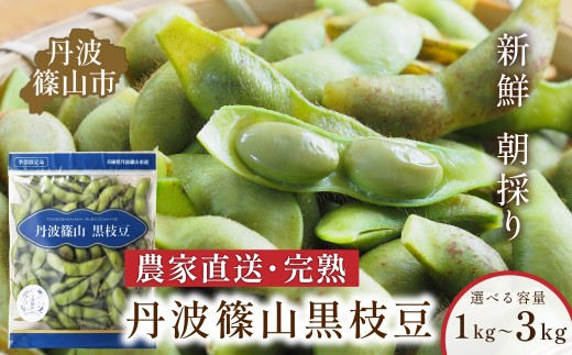 ［完熟］丹波市産　黒枝豆4kg （11月末まで） 早期予約/R8年10月中旬～11月初旬発送〉丹波篠山産 黒枝豆 さや 丹波