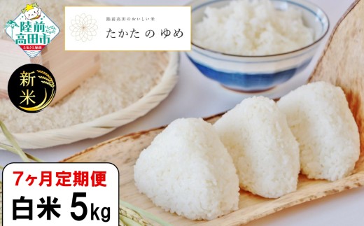 【岩手県陸前高田市】【7ヶ月定期便】 令和7年産 新米 白米 5kg×7ヶ月お届け 品種:たかたのゆめ 【 米 お米 ライス 陸前高田市 オリジナル ブランド米 冷めてもおいしい お弁当 おにぎり ギ