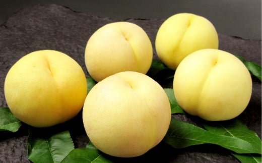 【岡山県倉敷市】岡山清水白桃 5〜7玉(合計1.5kg以上) もも 桃 モモ 白桃 フルーツ 果物 果実 清水白桃 岡山県 倉敷市【2026年7月上旬〜7月下旬まで順次発送予定】