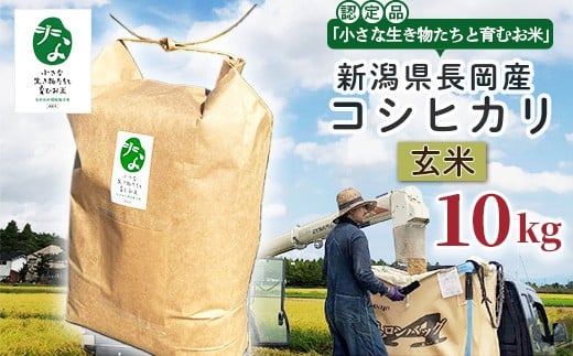 yVsz25-7GC101yāzVYRVqJ10kgyuȐƈނāvFؕiz