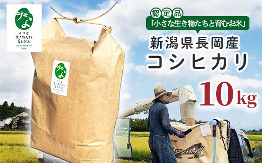 【新潟県長岡市】25-7SC101【精米】新潟県長岡産コシヒカリ10kg【「小さな生き物たちと育むお米」認証品】
