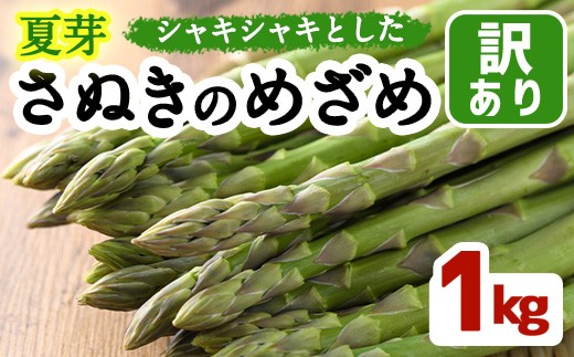 y쌧܂̂zs\I2026N6{ȍ~󂠂聄IׂeʁĉIʂ̂߂(1kg)  AXpKX yman082-AzyAglio neroz