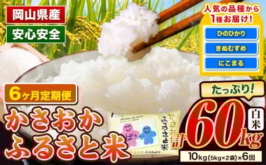 【岡山県笠岡市】【2月〜7月発送】米 お米 令和7年産 備中笠岡ふるさと米 【6ヶ月定期便】 60kg 10kg × 6ヶ月 【先行受付】 国産 ヒノヒカリ にこまる きぬむすめ 単一原料米 検査済み 国産 ブ