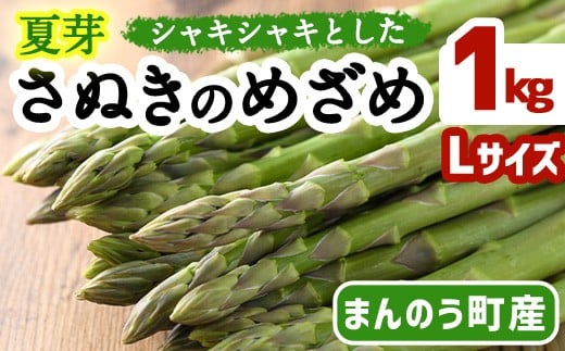 y쌧܂̂zs\I2026N6{ȍ~LTCYIׂ遄ĉI(LTCYȏ)ʂ̂߂ AXpKX(1kgELTCYȏ) yman084-BzyAglio neroz