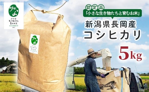 yVsz25-7SC051yāzVYRVqJ5kgyuȐƈނāvFؕiz