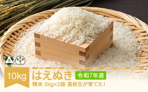 yR`RszZĂ  R ͂ʂ 10kg 2025NY ߘa7NY RYƍZ R`RsY Ezs ih-haxxx10