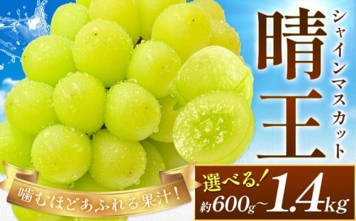 【岡山県浅口市】【2026年先行予約】ぶどう シャインマスカット 晴王 選べる 約600g 約700g 約1.2kg 約1.4kg 満天フルーツ《2026年9月上旬-10月末頃出荷》岡山県 浅口市 送料無料 マスカット フルー
