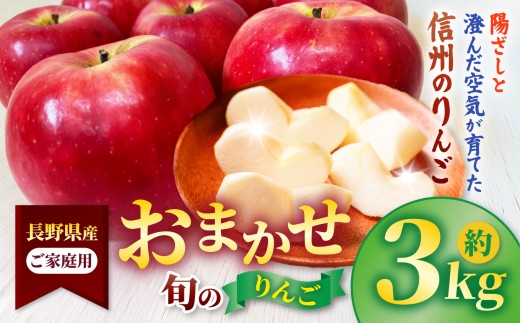発送中！ 信州高遠町産 ご家庭用 りんご 約3kg 品種おまかせ|りんご